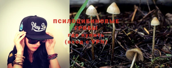 MDMA Лагань