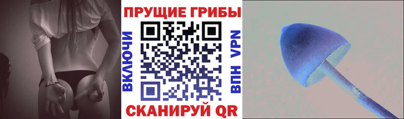 Галлюциногенные грибы MAGIC MUSHROOMS  Купить  Артёмовск 